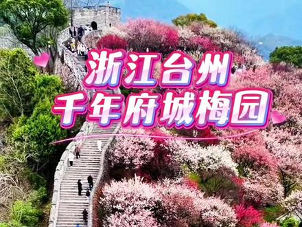 浙江台州千年府城梅花盛,这样的美景你们喜欢吗? #风景优美的旅游景点 #春暖花开奔你而来 #临海长城梅园 #浙江 #大美中国自然风光欣赏