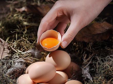 普通的母鸡蛋,拍摄一套图片思路分享。#产品摄影 #摄影教学 #摄影思路 @DOU+小助手