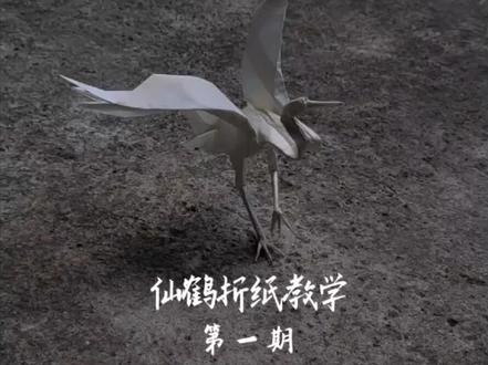 罗曼鹤折纸教学来了
#折纸 #手工 #教程 #手工diy #有手就行