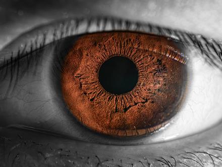 超超超级详细虹膜拍摄教程 一.
1️⃣.镜头反接成像原理:微距的放大倍率公式是(放大系数=像距/焦距-1) 像距越大或者焦距越短都可以增加放大倍率,有一个关键概念叫做镜头内存在俩个主平面,这个需要大家自行百度学习文字说不清楚看图文更好理解。镜头反接后物距就担任起了像距,像距拉长了微距能力就会大幅提升
2️⃣.根据1️⃣我们知道了像距越大微距能力越强,所以镜头选择上我们应该选择24及以上的广角镜头,百微镜头或者微距镜头,相机我使用的是z6ii搭配了24-70F4的镜头
3️⃣.使用M档进行拍摄,参数不固定根据现场环境来调节,保证不糊片即可。
4️⃣.灯光选择常亮灯或者视频中的小手电(视频中小手电共功率比较小),不可使用闪光灯或者常亮灯直射眼睛,灯光需放在眼部侧面侧面打光细节更多(灯光位置需要和眼部保持水平),视频中展示的打的是暖光源,冷光源效果可以参考我上个视频。
5️⃣.设置里面把未装镜头释放快门功能打开,架好三脚架然后把镜头拆下来用前镜片贴紧cmos(贴紧防止杂光进入),一定要用手托住镜头。
6️⃣.移动相机前后位置或者头部前后位置来对焦直到虹膜清晰(下巴最好找个东西托住防止摇晃)。
6️⃣.如果要拍摄虹膜收缩瞬间,先让眼睛适应在暗光环境然后突然打光瞳孔就会收缩,因为虹膜会根据进环境光量调节瞳孔的大小。
7️⃣.最后导进ps进行后期即可。
二、手机用后置0.5倍广角+微距或者购买近摄镜也可以,一样需要贴近点眼睛侧面也需要打光,可以使用俩部手机一部放在眼睛侧面进行打光一部使用0.5倍进行拍摄。
8️⃣.温馨提示:一定不要使用闪光灯,常亮灯或者手电筒直射自己的眼睛!!!!!!爱惜自己的眼睛#瞳孔 #微距 #虹膜 #摄影