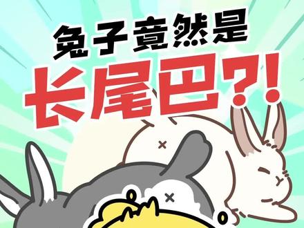 问:兔子的尾巴是长的还是短的?#十万个为什么 #冷知识 #科普动画
A.短的
B.长的
C.没有
D.以上都不是