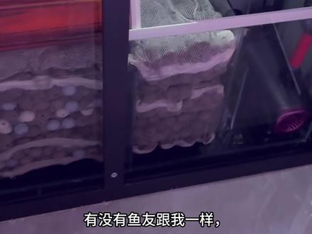 无损增高底滤泛水板尺寸教程来了!#底滤改造 #底滤板 #泛水板 #养鱼日记 #vlog十亿流量扶持计划