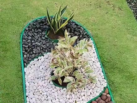 如何用三棵树,打造一个小景观 #景观设计 #庭院景观