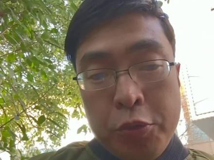 董宇辉说鸡会上树城巴佬被嘲笑了,董宇辉卖89三只鸡养鸡佬会被嘲笑吗?不是鸡的问题,是你的信息茧房困住了你#懂的人自然能听懂 #知识分享 #内容过于真实 #董宇辉