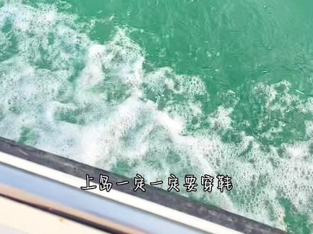 西涌情人岛赶海攻略,有啥想知道的都可以问我#亲子游玩好去处 #旅行推荐官 #周末去哪玩 #带你去看海 #深圳的海
