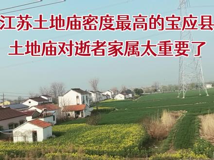 江苏土地庙密度最高的宝应县,土地庙对逝者家属太重要了。 #土地庙 #封建迷信 #乡愁记忆 #宝应 #姚哥跑火车