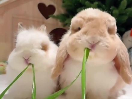 短剧想怎么看就怎么看#红果短剧 #追剧神器 #好剧推荐 #省心 #根本停不下来