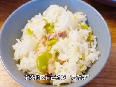 芒种是二十四节气中的第九个节气,也是夏季的第三个节气,通常在每年公历的6月5日或6日,当太阳到达黄经75°时开始。芒种标志着仲夏时节的正式开始,此时气温显著升高,雨量充沛,农作物生长旺盛。
“芒种”一词的字面意思是“有芒的麦子快收,有芒的稻子可种”,反映了这一时节农事活动的繁忙。此时,北方地区要抓紧收割小麦(“忙收”),而南方则进入水稻插秧的关键期(“忙种”),因此民间也有“芒种芒种,连收带种”的谚语。
芒种时节,长江中下游地区进入梅雨季节,湿热天气增多,万物生长达到一年中最旺盛的阶段,体现了自然界“春生、夏长”的规律。
芒种象征着辛勤劳作和丰收的希望,古人认为此时是天地阳气最盛的阶段,强调顺应天时、勤奋耕耘的重要性。
古代民间认为芒种时百花开始凋零,人们会举行仪式“送花神”,以表达对花神的感激,并期盼来年再相会。这一习俗在《红楼梦》中也有提及。
在安徽、江西等南方地区,农户会用新收的麦面蒸制各种形状(如五谷、六畜)的馒头,祭祀土地神和谷神,祈求秋季丰收,称为“安苗仪式”。
芒种时梅子成熟,但新鲜梅子酸涩难食,古人会煮梅或酿梅酒。三国时有“青梅煮酒论英雄”的典故,这一习俗既养生又风雅。
宁波地区有芒种吃“君踏菜”(一种时令蔬菜)的习俗,认为可防暑热、保持皮肤光滑,寓意健康度过炎夏。
贵州侗族青年会在芒种日边插秧边打泥巴仗,身上泥巴越多象征越受欢迎,也寄托了对丰收的祈愿。
芒种接近端午节,许多地方会挂艾草驱虫辟邪,同时食用粽子、赛龙舟等端午习俗也常与芒种时段重叠。饮食宜清淡,多吃苦瓜、莲子、绿豆等清热食物,适量吃酸(如乌梅、柠檬)以生津止渴。 注意防暑降温,午间小憩避免“夏打盹”,保持心情愉悦以防“情绪中暑”。 “芒种不种,再种无用”,提醒人们把握农时,也寓意人生需及时努力。
芒种既是农耕文化的重要节点,也承载着人与自然和谐共处的智慧,至今仍在饮食、习俗中留有丰富印记。