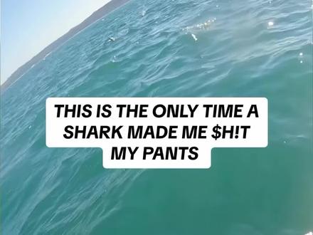 沉浸式体验刚下水就遭遇大白鲨