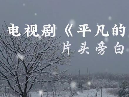 致平凡世界中平凡的我们#平凡的世界