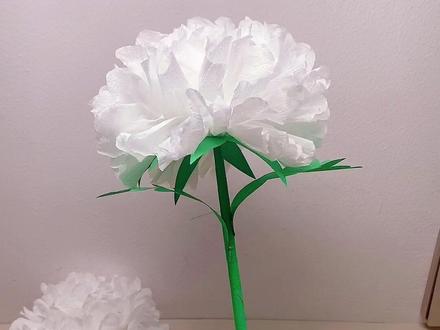 教你用纸巾折清明节小白花,缅怀先烈,祭奠先祖#折纸 #手工花制作 #幼儿园手工 #清明节手工