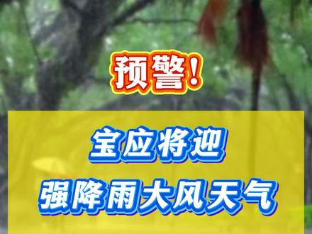 预警!宝应将迎强降雨大风天气,农事、出行需防范