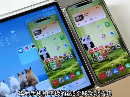 鸿蒙6|华为手机+平板的5个联动小技巧✅ 华为手机和平板的这5个联动小技巧,你一定要会用,可以让你的手机和平板使用效率翻倍
#华为平板使用技巧 #华为平板 #华为手机小技巧 #华为手机 #鸿蒙6 @抖音小助手 @DOU+小助手
