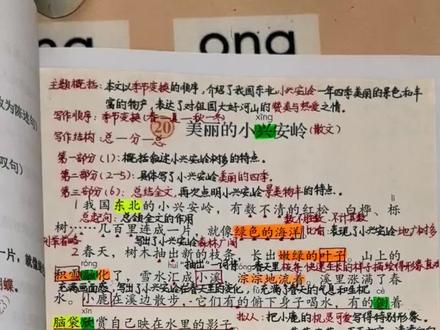 #三年级上册语文 三年级上册语文《美丽的小兴安岭》#小学语文
