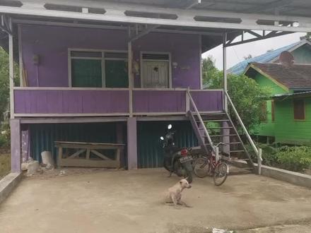 达雅克人居住的长屋