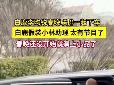 春晚联排白鹿假装小林助理 熟人局太有节目了 #白鹿 #李昀锐 #春晚联排