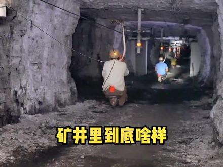 矿工是如何把近千米深的煤炭从地下挖出来的?#每天跟我涨知识 #涨见识 #科学脑洞上分赛