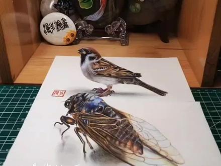 画了两枚小可爱,好看不有赞不#立体画 #麻雀 #彩铅画#蝉#手绘