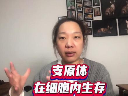 猫咪上呼吸道疾病的治疗还是要正确对待,现在猫咪的情况大多是家长用药不明确导致的#养宠进阶指南 #猫咪呼吸道感染 #猫咪支原体