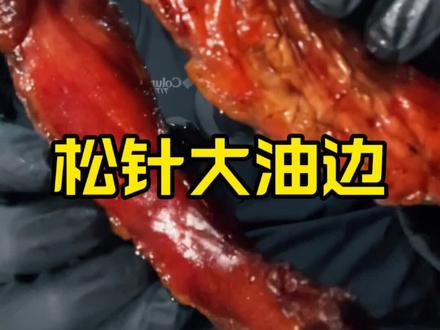 松针大油边(纯净版)外脆里嫩每一口都爆汁太过瘾了#深夜美食 #妈呀太香了 #油边 #深夜食记 #大口吃肉