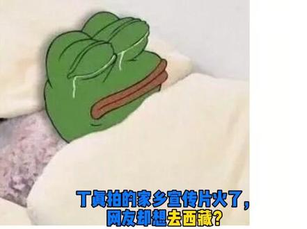 #以为丁真在西藏?四川:终究是真心错付了… #丁真的家乡在四川