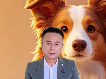 边牧真的聪明吗?养过它才知道有多坑! 边牧适合什么人养?先看完这三个缺点再决定!#边牧 #边牧的智商 #边牧适合家养吗 #新手养狗 #新手养狗攻略 #训犬师腾飞