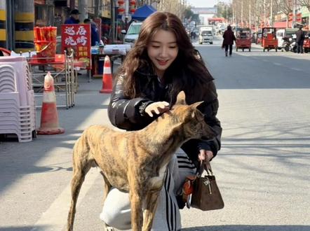 #谁懂这句有空再回来的含金量 欲买桂花同载酒终不似少年游#有空再回来 我的老家过年回忆录 有空会再回来的