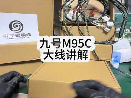 今天是九号M95C大线讲解 #九号m95c #九号电动车