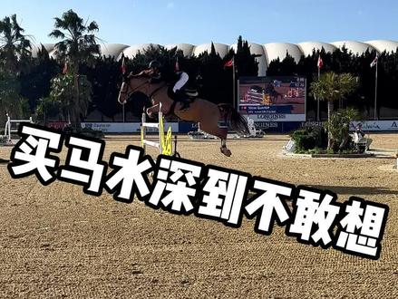买马只看血统?你可能连欧洲马圈的门槛都没进! 为什么有的神仙血统在赛场上一塌糊涂?而有的平民血统却能跳出天价?
在欧洲马术市场,有一条很少有人愿意告诉你的“6岁铁律”。今天在西班牙的 4 星级赛场边,跟你聊点马术投资里最硬核的真东西。
不要再为了一张纸交智商税了,过了 6 岁,成绩单就是唯一的硬通货。跟着世界一线骑手的眼光去挑马,才能少走弯路。#马术 #精英教育 #马匹投资 #诗乐马术#买马避坑