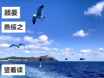 以你之名 冠我之姓 #一级律师