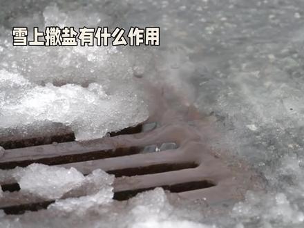 为什么在雪上撒盐揭秘 #科普解说