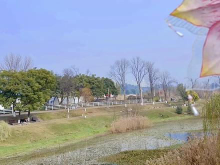 DIY|自制国风锦鲤纸鸢+马年限定香挂
马上就要新年了~
我用纸巾做了个年味满满的锦鲤纸鸢装饰
用蓝丁胶贴墙上
新年的氛围一下就有了~
还有专属马年的香挂
一起来看看吧~
#国风 #马年 #新年 #纸鸢 #用一张图证明你是手工人