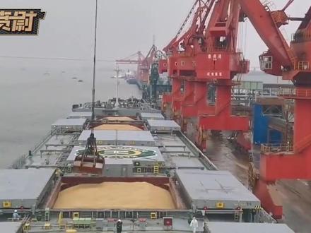 9000多万伊朗人等着吃饭,俄罗斯突然停止给伊朗运粮? #全球创作者计划 #零基础看懂全球