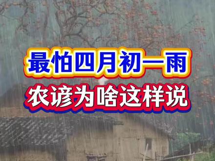 最怕四月初一雨!#农业小知识