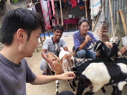 跟孟加拉国三轮车兄弟去买羊,1700元又买了5只羊,其中2只羊花了大价💰#孟加拉国 #海外生活