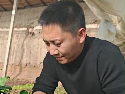十万个蔬菜种植小技巧:为什么种葱不能猛浇水#分享农业知识帮农产增收 #创作者中心 #创作灵感#蔬菜种植 @塞上江南蔬果种子严选店
