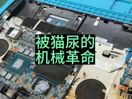 被猫尿的机械革命笔记本#济南笔记本维修 #笔记本维修#芯片级维修#机械革命笔记本维修#笔记本进水维修