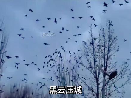 真的是瞒不住了,开战仅27天,乌鸦席卷特拉维夫!#军事科技#军事科普