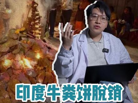 印度牛粪饼脱销,到底有什么用处?#印度美食 #牛粪饼 #奇葩美食 #科普