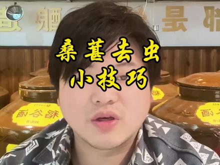 正值泡桑葚酒的好季节,分享一个超级实用的桑葚去虫小技巧