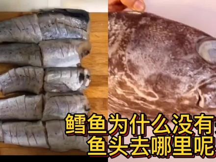 市场上鳕鱼为啥没有鱼头 是有毒吗 它有啥秘密