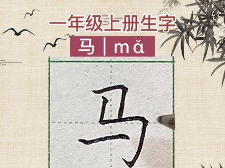 一年级上册生字,马字怎么写?马字笔画笔顺。
#规范字书写 #少儿硬笔书法 #幼小衔接识字 #小学生练字入门教学 #零基础学书法