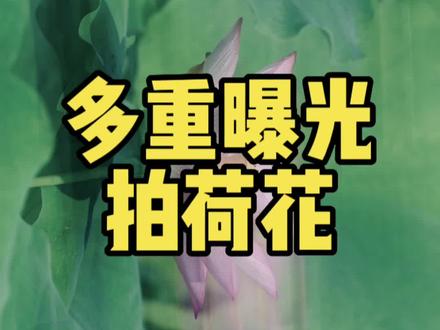#佳能 #摄影教学 #相机初学者入门教程 #摄影技巧 多重曝光拍荷花