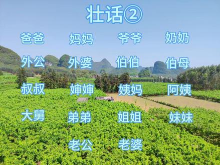 柳州方言之一-壮话。每天几个壮话词语,轻轻松松学学壮话。#广西方言 #壮语 #家乡话 #柳州方言 #上热门🔥