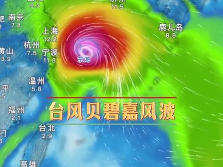 台风贝碧嘉的恩怨情仇#台风