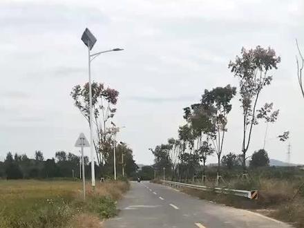 小黄蜂250动力很猛