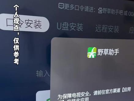 野草助手安装软件失败怎么办#好用的电视端软件