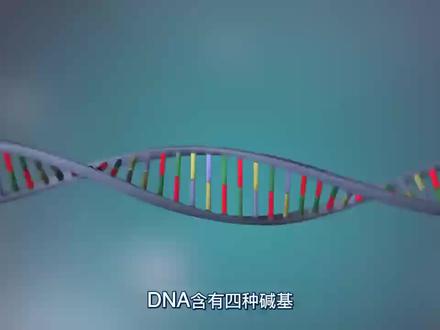 DNA复制过程 #生命科学 #科学 #三维动画 #抖进科学