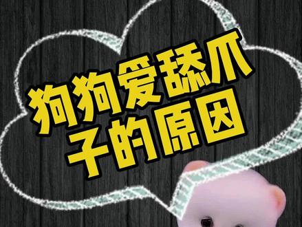 狗狗爱舔爪子的原因#狗狗 #萌宠 #毛孩子