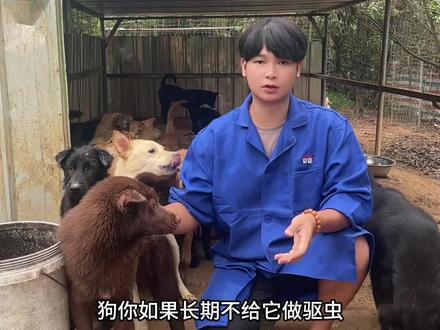 绦虫脑包虫就用吡喹酮